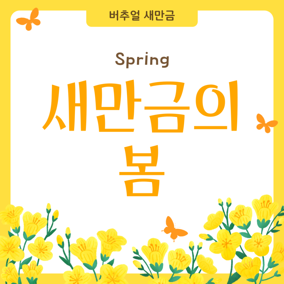  [새만금] 새만금의 봄 _ 2025.03.10 썸네일 이미지