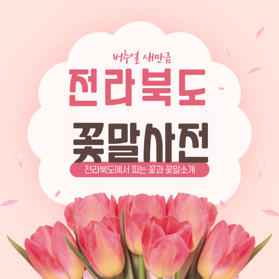  [새만금] 전라북도 꽃말사전 _ 2025.03.28 썸네일 이미지