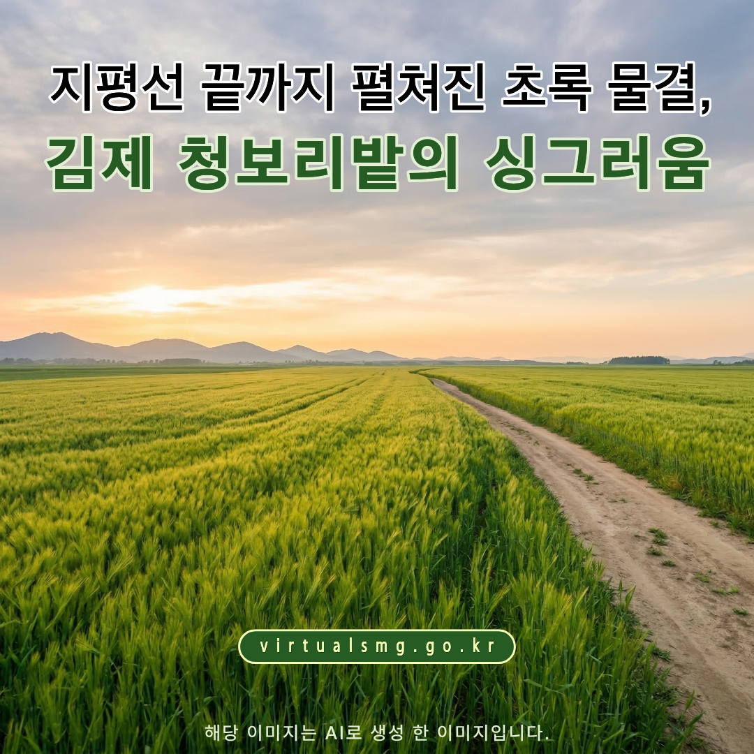  [새만금] 지평선 끝까지 펼쳐진 초록 물결, 김제 청보리밭의 싱그러움 _ 2026.04.17 썸네일 이미지