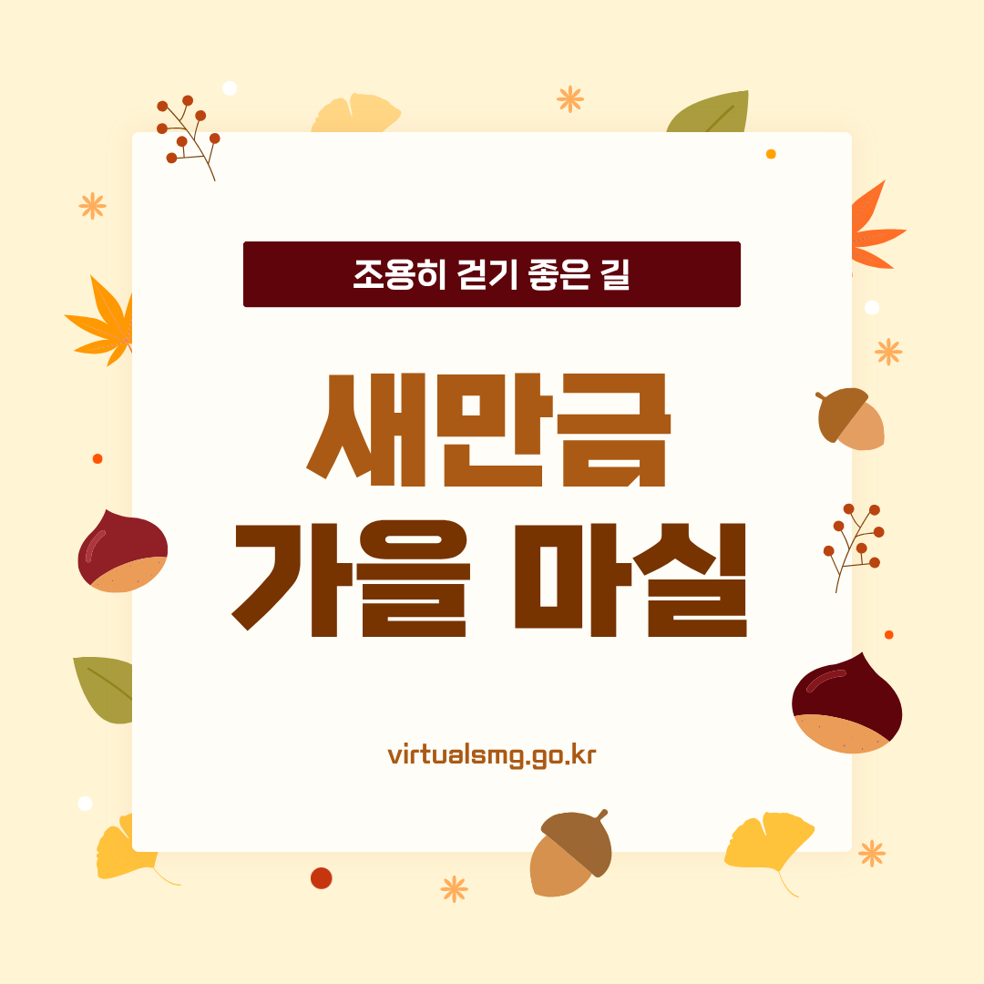  [새만금] 조용히 걷기 좋은 길, 새만금 가을 마실 _ 26.09.04 썸네일 이미지